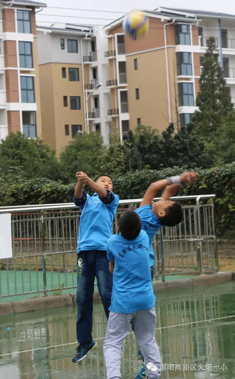 【3、排球赛场写真】我们是顽强的排球小子!
