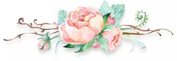 【火一动态】叩问生命 绽放芳华 ----第二十期教师论坛