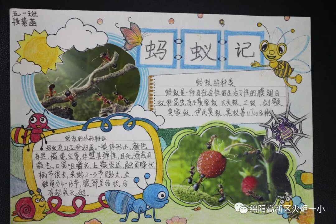 【火一开学季5】做实践达人，夺“快乐成长勋章”