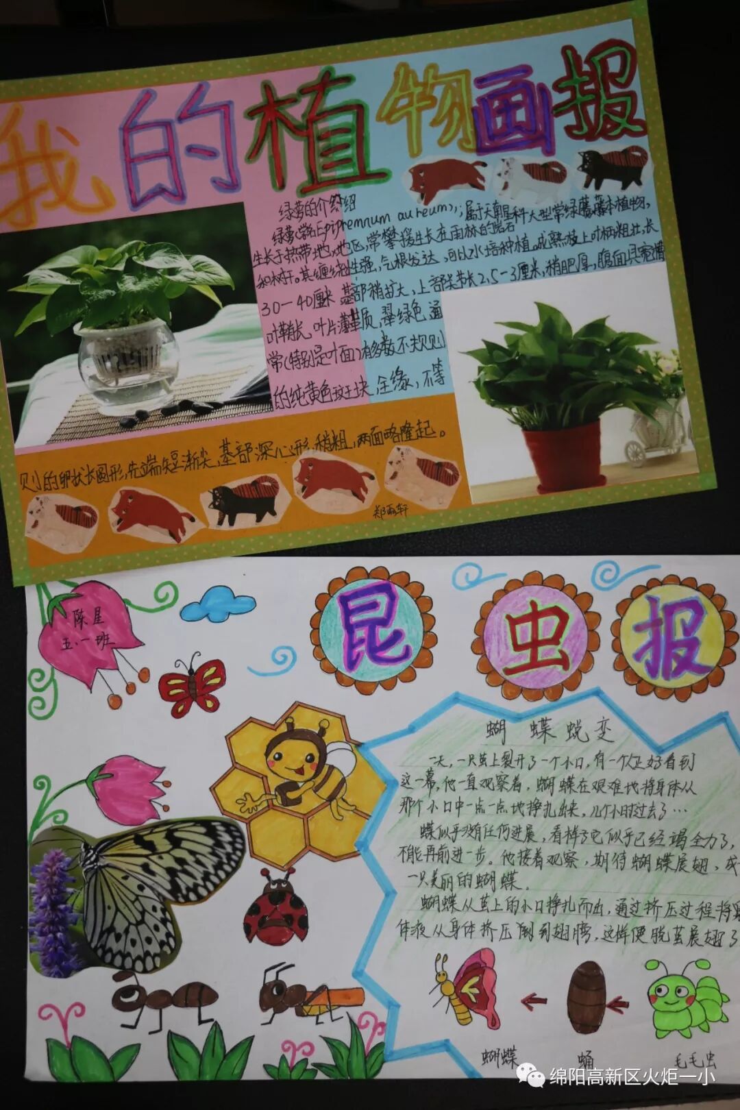 【火一开学季5】做实践达人，夺“快乐成长勋章”