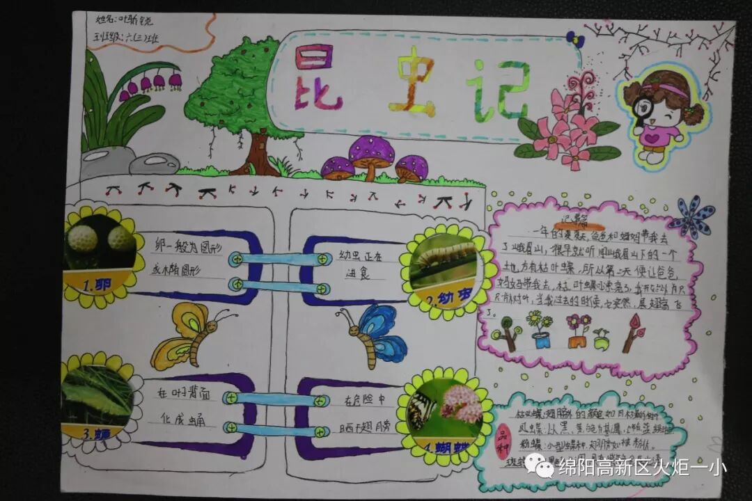 【火一开学季5】做实践达人，夺“快乐成长勋章”