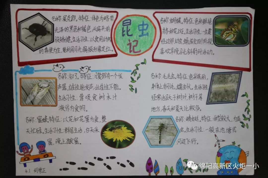 【火一开学季5】做实践达人，夺“快乐成长勋章”