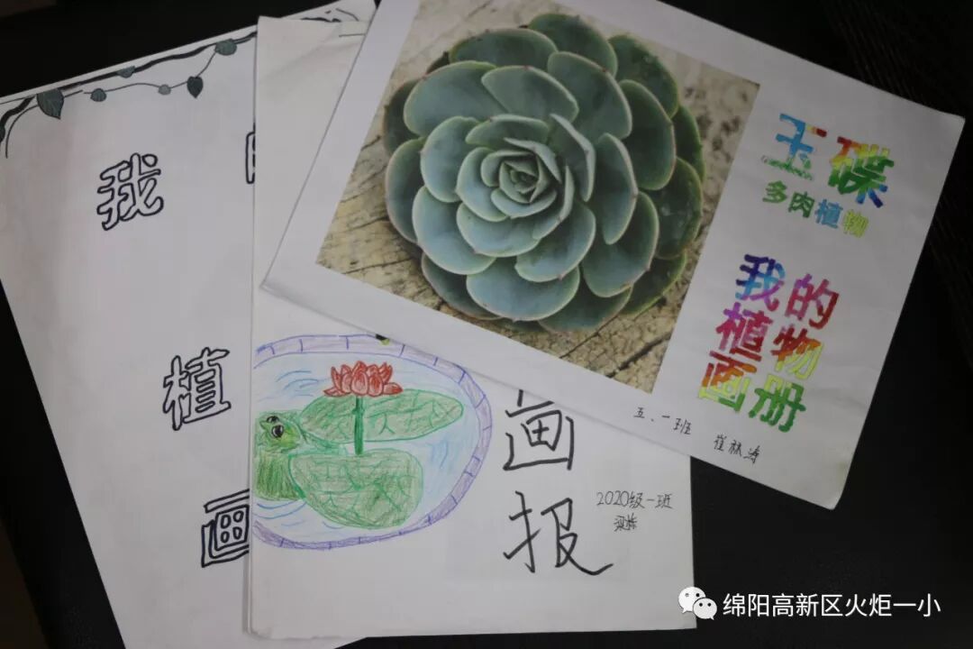 【火一开学季5】做实践达人，夺“快乐成长勋章”