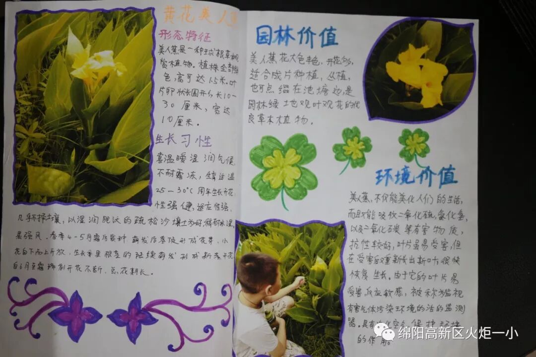 【火一开学季5】做实践达人，夺“快乐成长勋章”