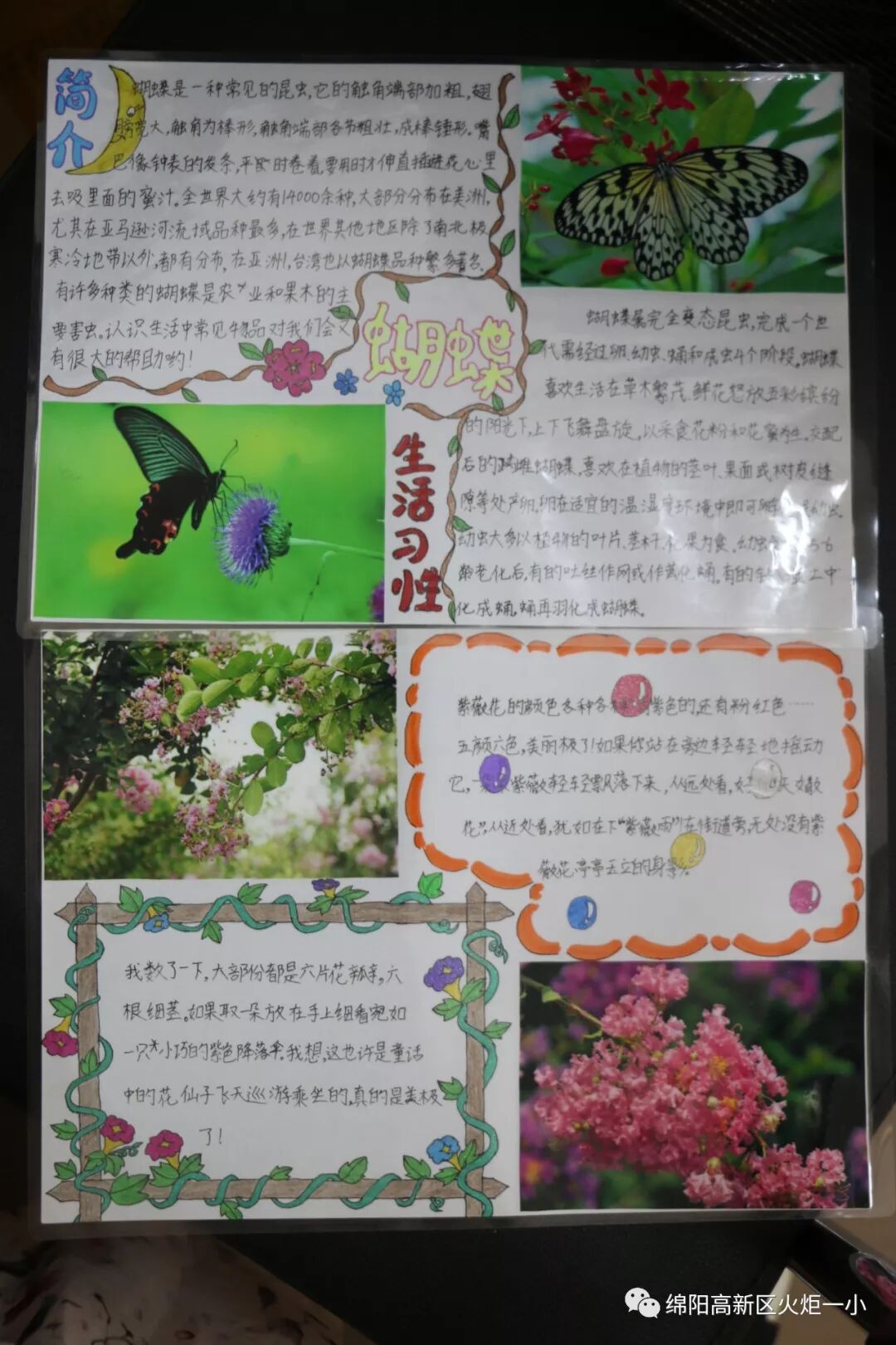【火一开学季5】做实践达人，夺“快乐成长勋章”