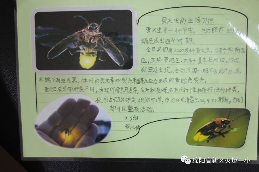 【火一开学季5】做实践达人，夺“快乐成长勋章”