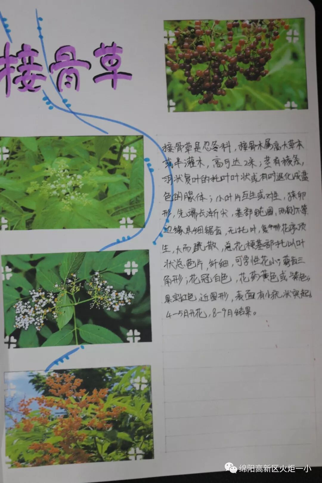 【火一开学季5】做实践达人，夺“快乐成长勋章”