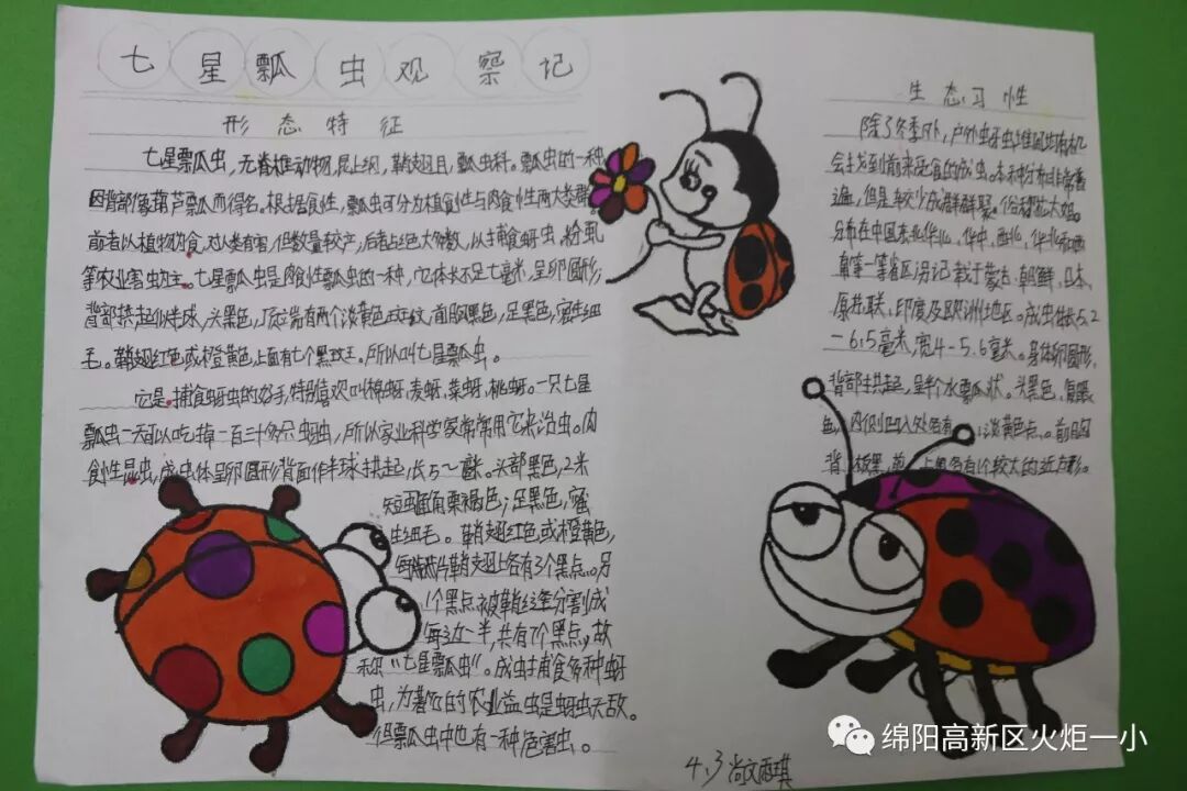 【火一开学季5】做实践达人，夺“快乐成长勋章”
