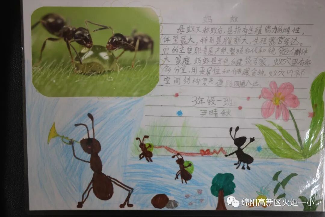 【火一开学季5】做实践达人，夺“快乐成长勋章”