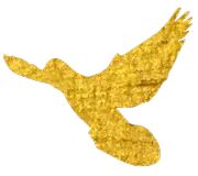 【火一动态】祖国妈妈，我爱您！——火炬一小学生国庆实践活动