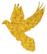 【火一动态】祖国妈妈，我爱您！——火炬一小学生国庆实践活动
