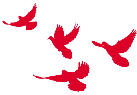 【火一动态】“绵阳印”logo娃亮相咯! ——火炬一小师生参加绵阳市庆祝“新中国成立新中国成立70周年”大型群众歌咏比赛