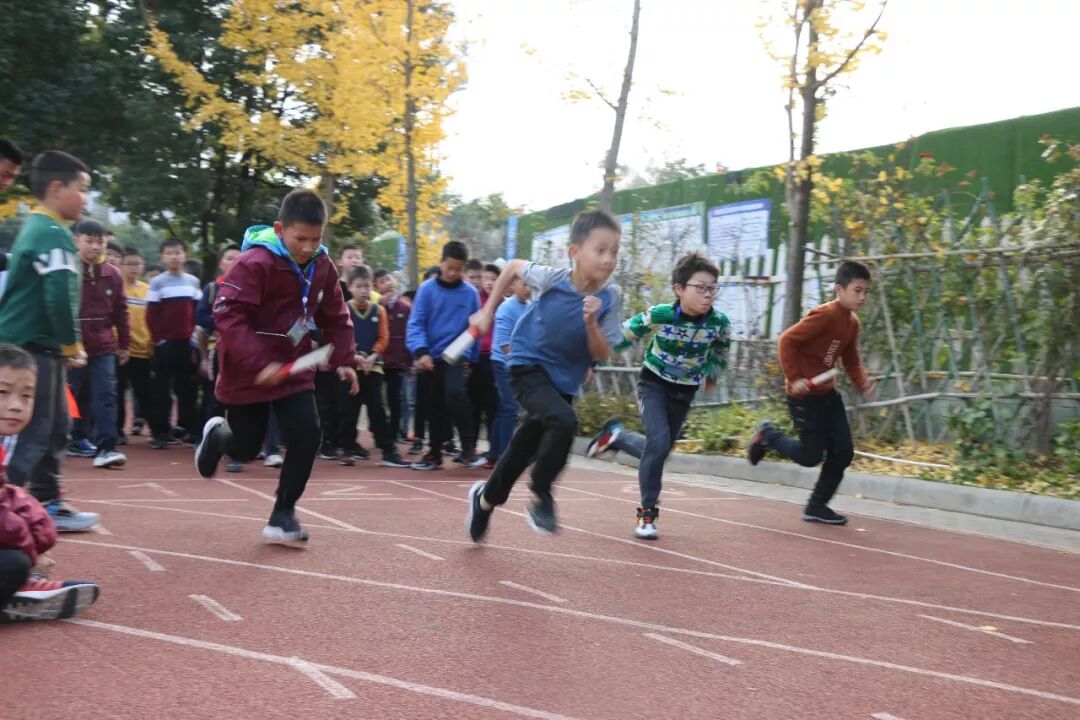 【体育节比赛+体育课程】燃烧我的卡路里!