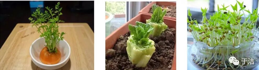 【火一动态】非常时期，写给老师、学生的学习和生活指导攻略，请收好！