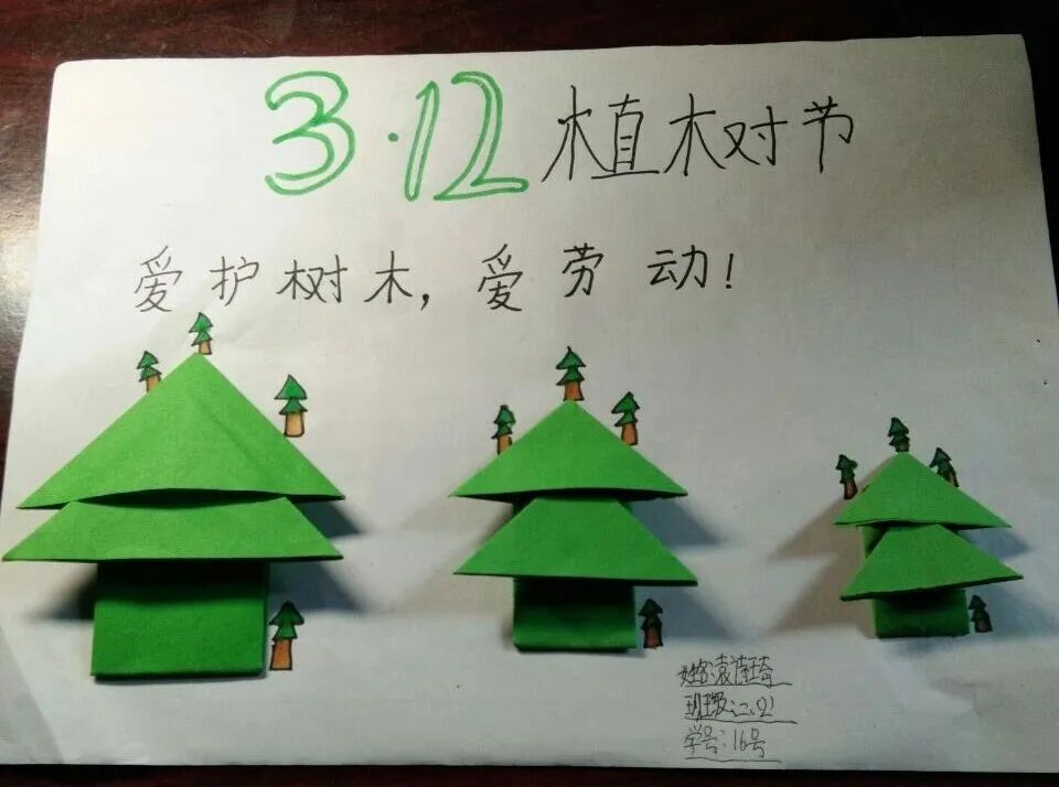 【火一动态】3.12战疫情，守绿意—火一娃巧手“造林”