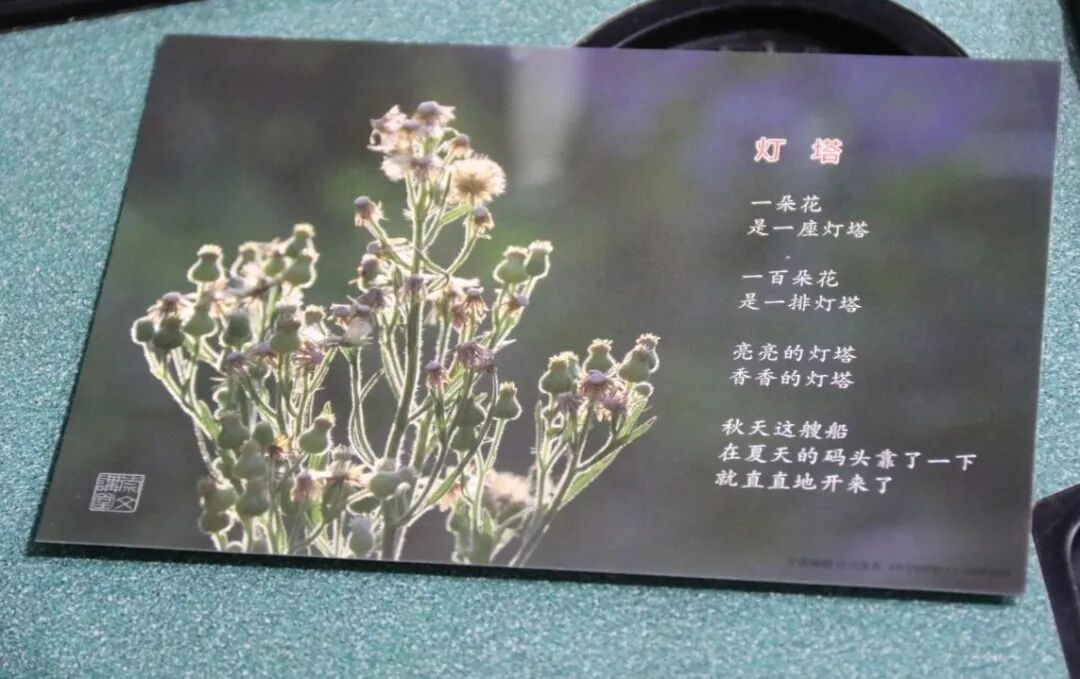 【火一动态】童诗润童心 作家进校园 |火炬一小语文低中段读写结合专项培训交流研讨活动