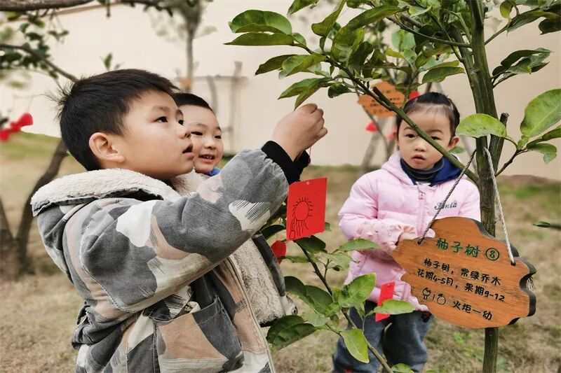【一幼动态】玩转中国年系列活动②｜一幼福娃闹新春
