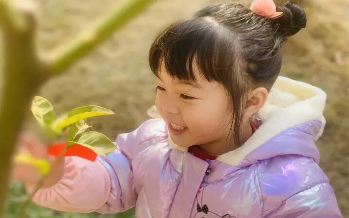 【一幼动态】玩转中国年系列活动②｜一幼福娃闹新春