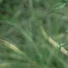 火一动态|最好的我们,最美的启程||火炬一小2022届毕业典礼