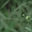 火一动态|笔端生芳华 情满中秋月|| 火炬一小教师节/中秋节“双节”庆祝活动