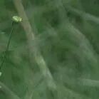 火一动态|笔端生芳华 情满中秋月|| 火炬一小教师节/中秋节“双节”庆祝活动