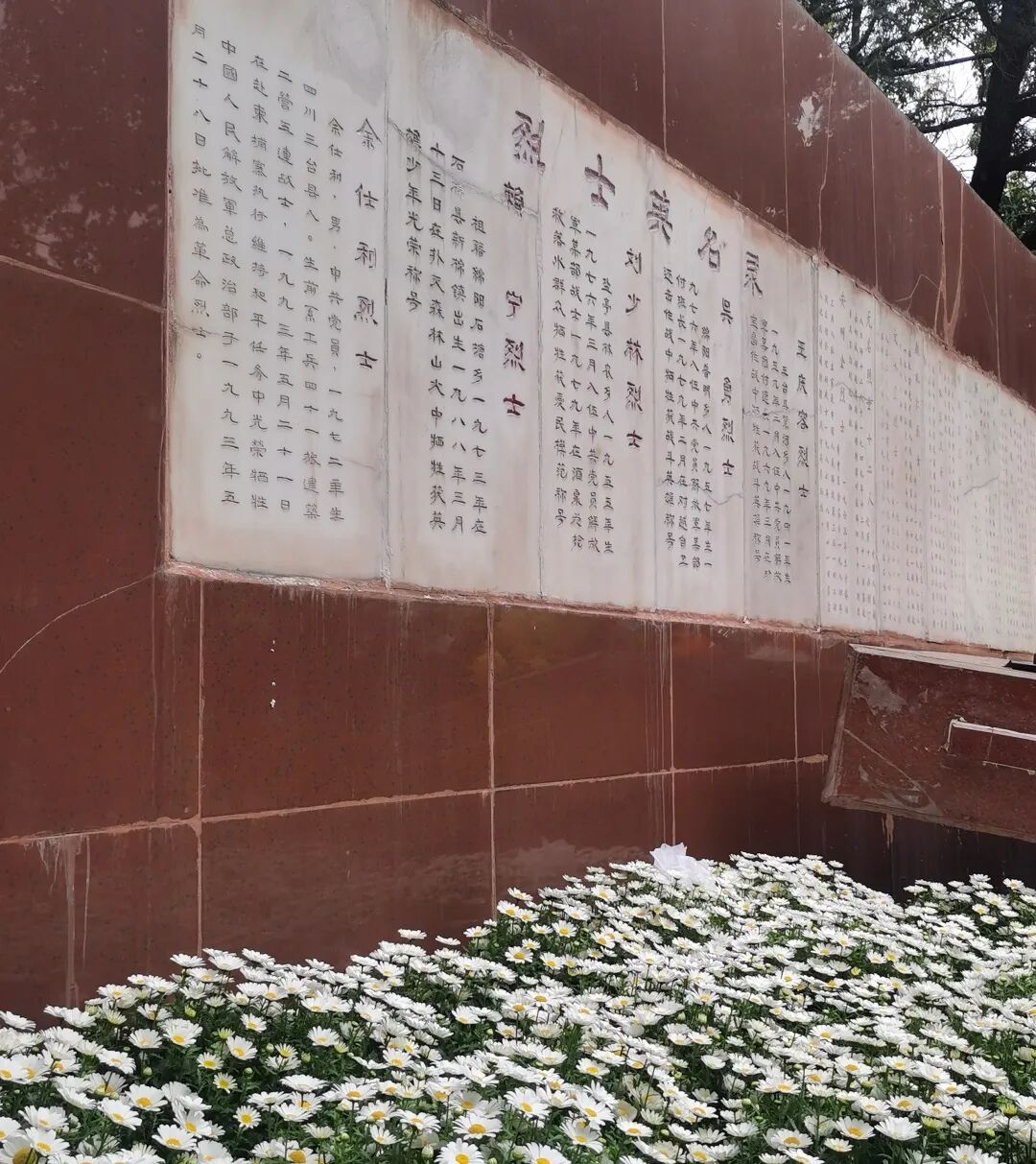 火一动态|缅怀英雄先烈  传承红色基因||清明祭扫活动