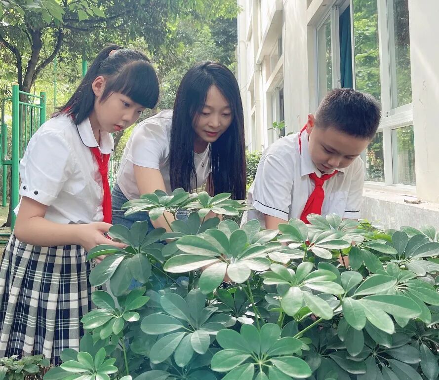 榜样的力量 火炬一小第39个教师节受表彰教师
