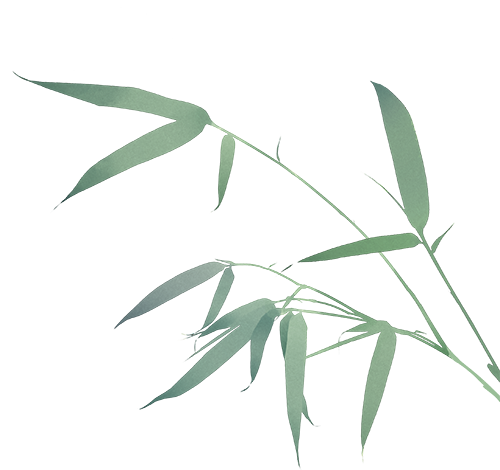 【火一月刊】十月:未来星芒 校启新章