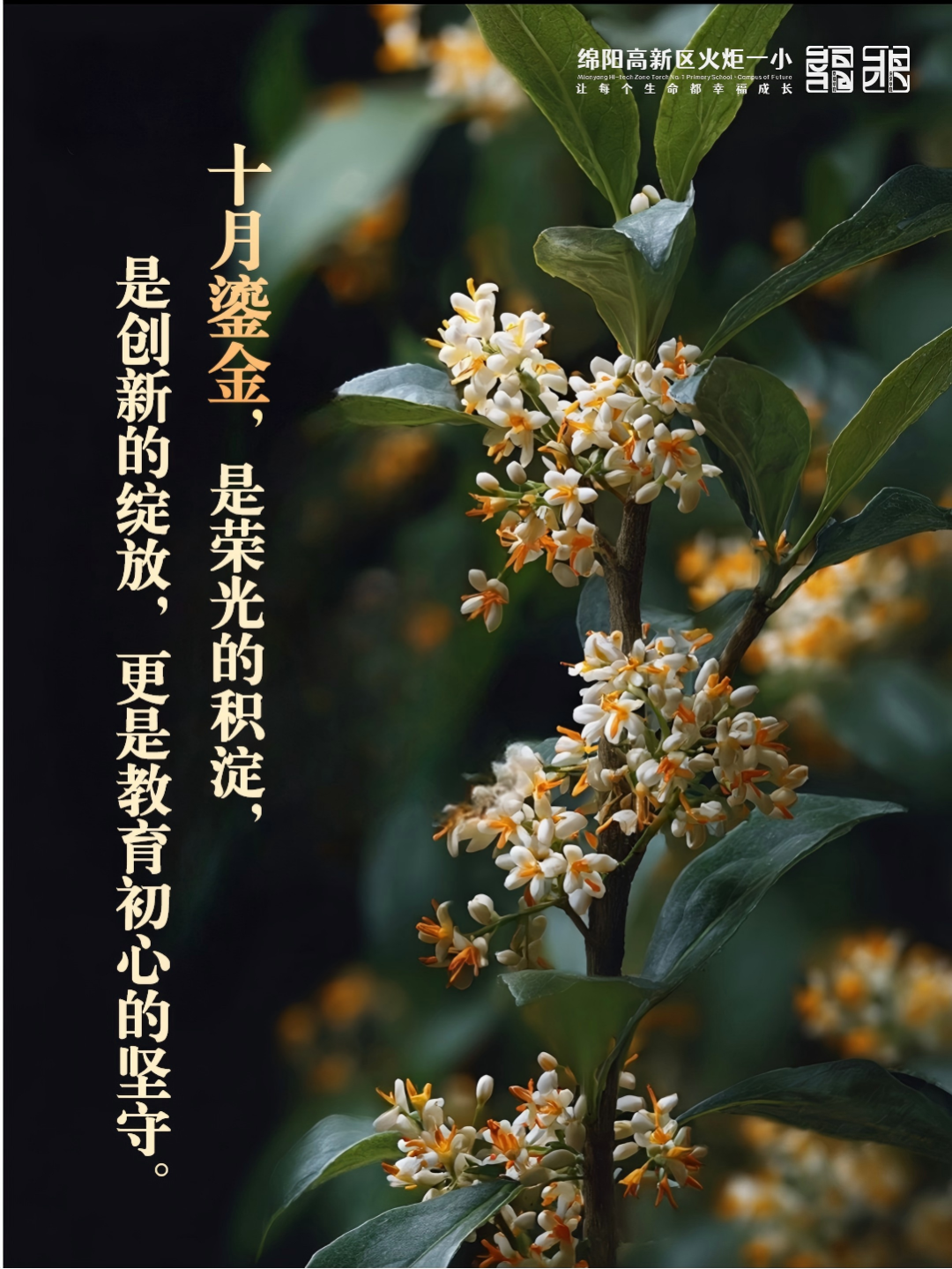 【火一月刊】十月耕耘,星光满载 在光影交织中,珍藏教育的每一瞬微光