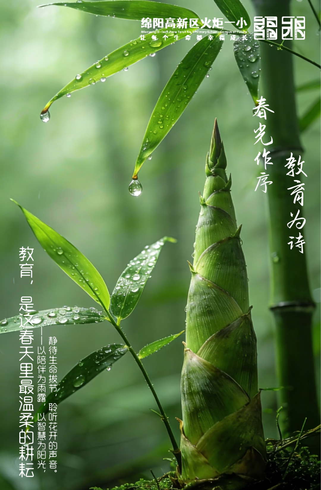 【火一月刊】春光作序，教育为诗 ——三月，火炬一小寄出一封春日来信