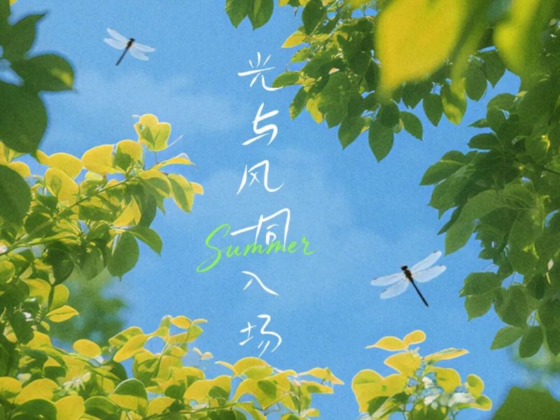 【火一月刊】夏序的帧记，一帧一成长——五月，火炬一小以镜头为笔，记录教育的夏天